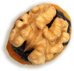 Walnut Apricot with Rasins