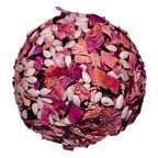 Multi Seed Berry Balls