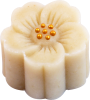 Badam Flower