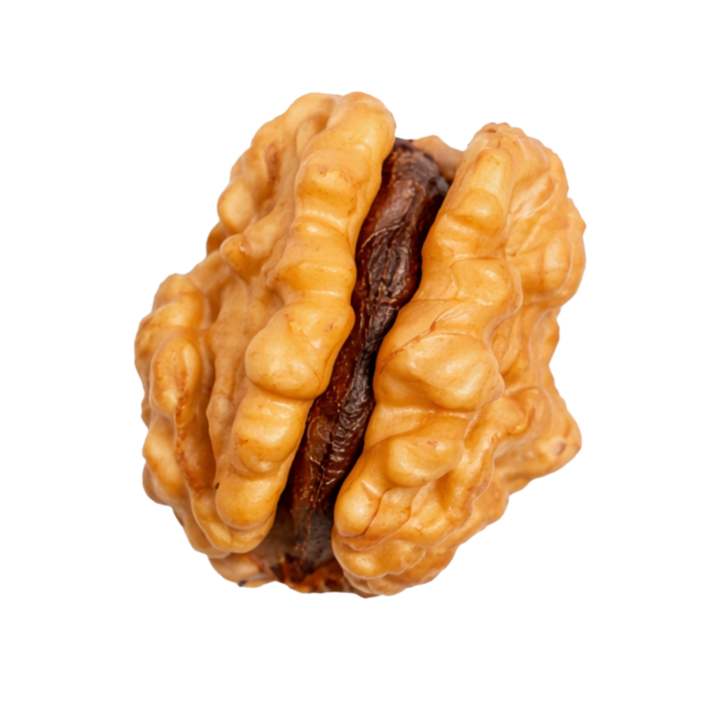 Date with Walnut & Coco