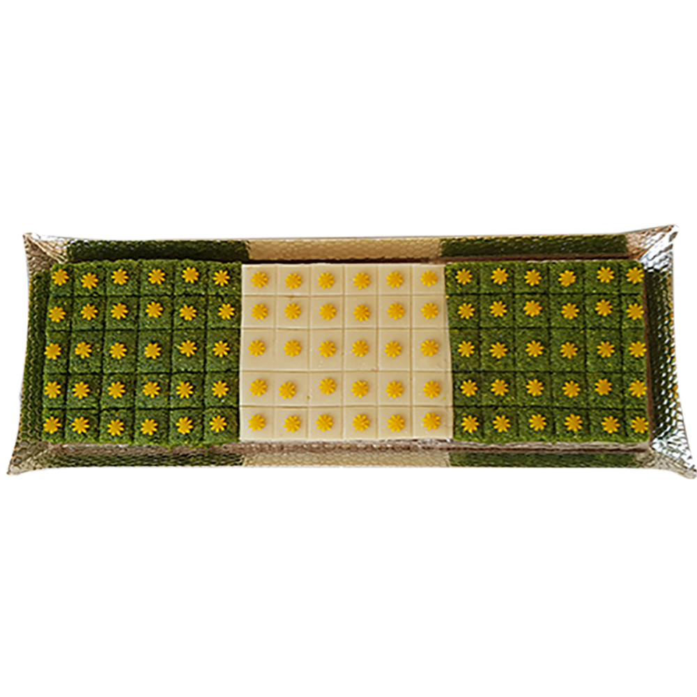 Almond & Pista squares on Silver Tray