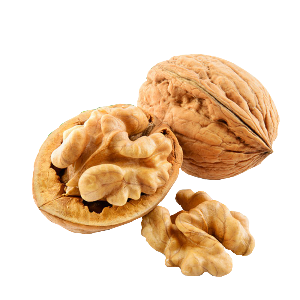 Walnut
